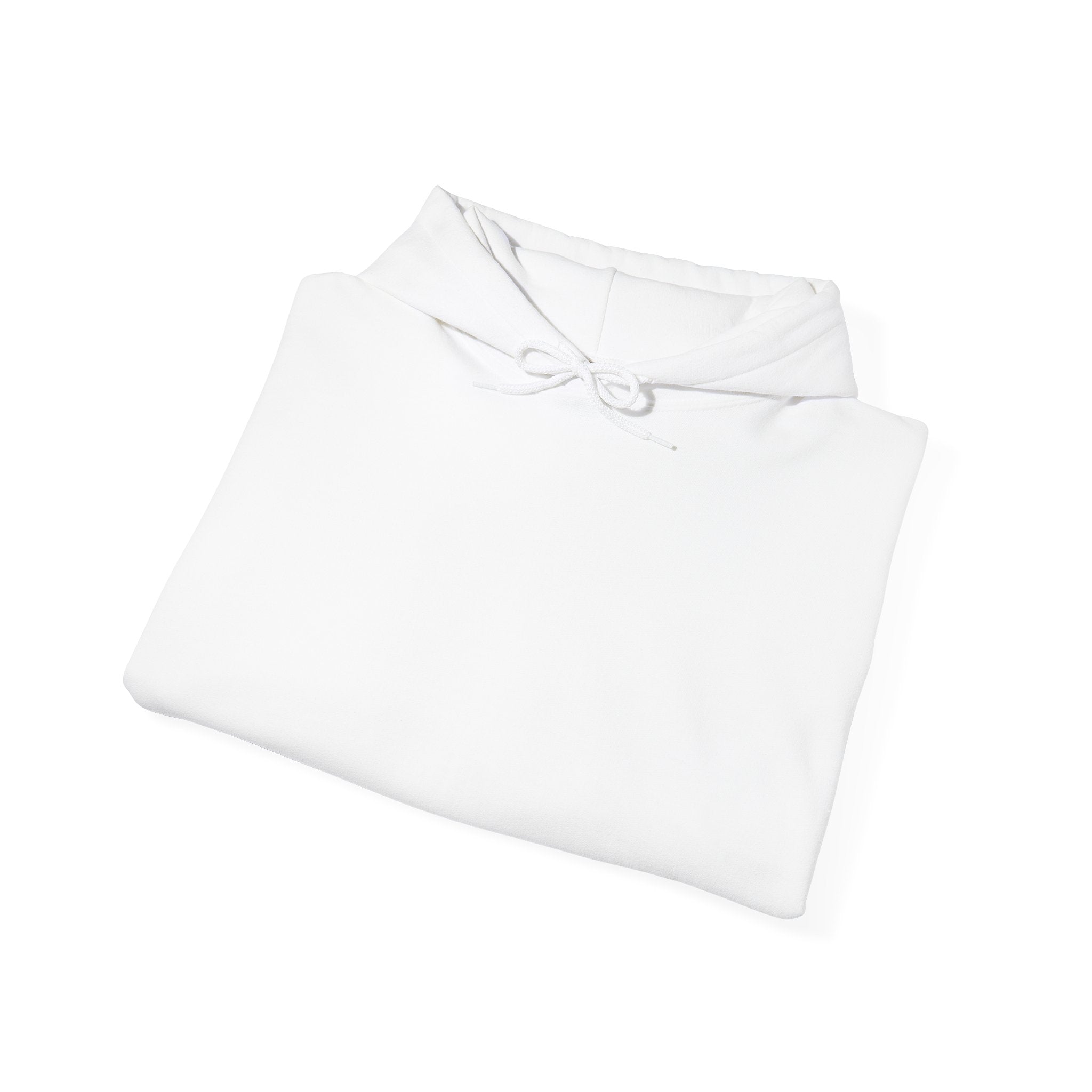 NDUR3.PROJECT HOODIE UNISEX